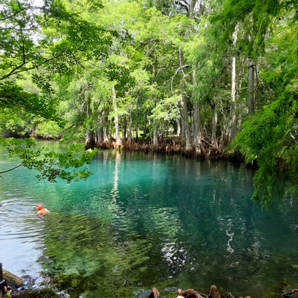 Meet your Posher, Cynthia - Picture 1 of 1